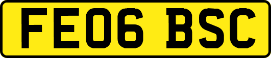 FE06BSC