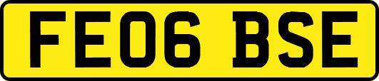 FE06BSE