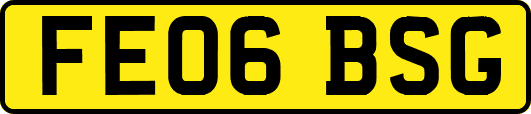 FE06BSG