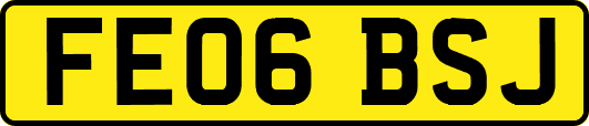 FE06BSJ