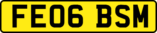 FE06BSM