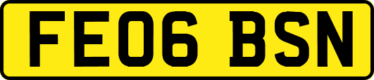 FE06BSN