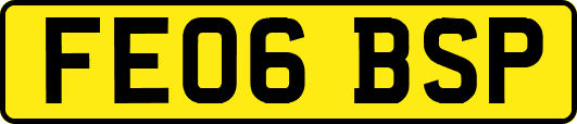 FE06BSP