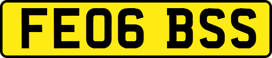 FE06BSS