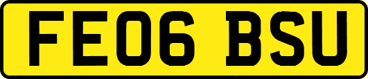 FE06BSU