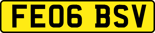 FE06BSV