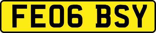 FE06BSY