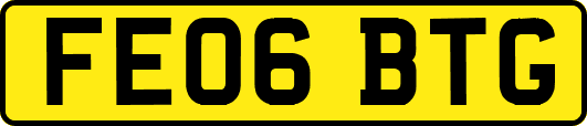 FE06BTG