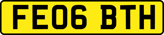 FE06BTH