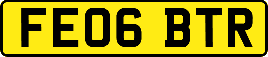 FE06BTR
