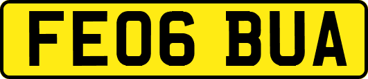 FE06BUA