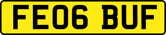 FE06BUF