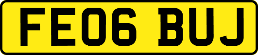 FE06BUJ