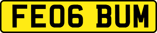 FE06BUM