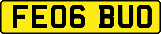 FE06BUO