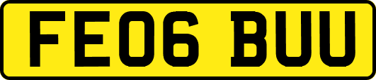 FE06BUU
