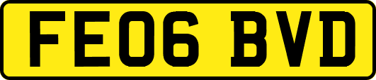 FE06BVD