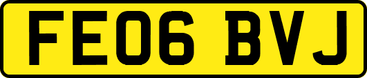 FE06BVJ