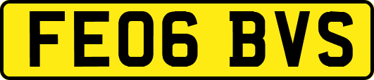 FE06BVS
