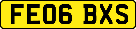 FE06BXS
