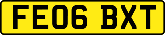 FE06BXT