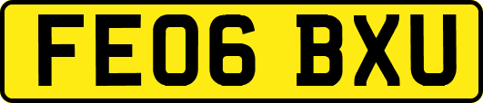 FE06BXU