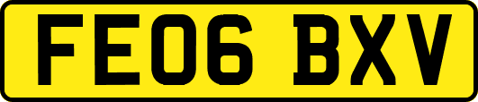 FE06BXV