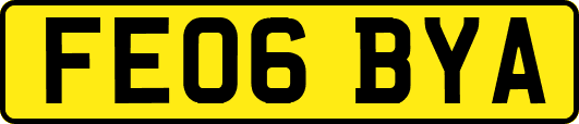 FE06BYA