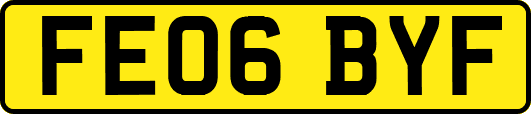 FE06BYF