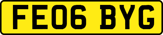 FE06BYG