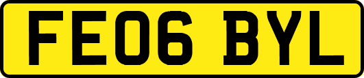 FE06BYL