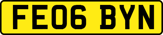 FE06BYN