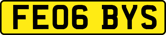 FE06BYS