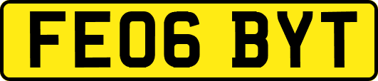 FE06BYT