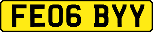 FE06BYY