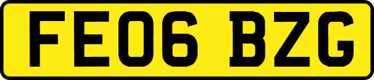 FE06BZG