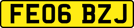 FE06BZJ