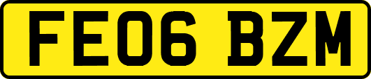 FE06BZM