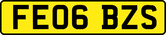 FE06BZS
