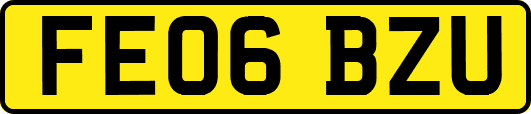 FE06BZU
