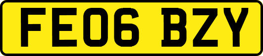 FE06BZY