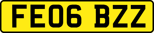 FE06BZZ