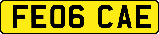 FE06CAE