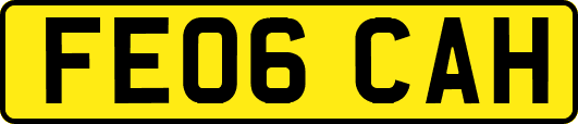 FE06CAH