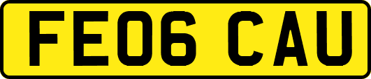 FE06CAU