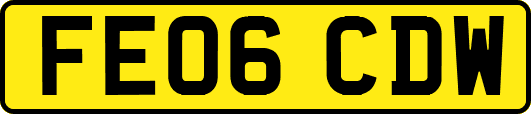 FE06CDW