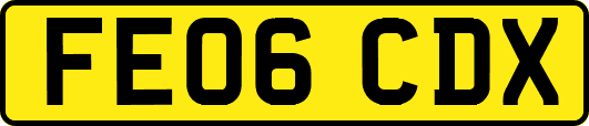 FE06CDX