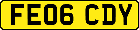 FE06CDY