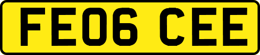 FE06CEE