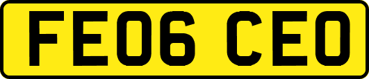 FE06CEO